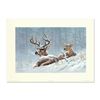 Image 1 : Larry Fanning (1938-2014), "Bedded Down - Whitetail Deer" Limited Edition Lithog