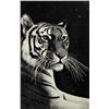 Image 11 : Rudy Droguett(20th/21st C.) American, Scratchboard