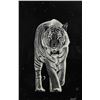 Image 3 : Rudy Droguett(20th/21st C.) American, Scratchboard