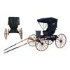 Image 1 : 1890 Doctors Buggy