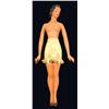 Image 1 : Composition Girdle Store Display Figure