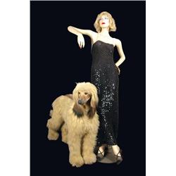 Life-size Afghan Hound / Lady Display