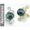 Image 1 : Exotic 9.5 MM Tahitian Pearl, Ruby & Diamond Earrings