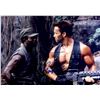 Image 1 : Arnold Schwarzenegger Autograph Signed Predator Photo