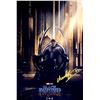 Image 1 : Chadwick Boseman Autograph Signed Black Panther Photo