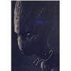 Image 1 : Avengers Endgame Vin Diesel Signed Photo