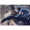 Image 1 : Avatar Sam Worthington Signed Photo