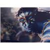 Image 1 : Avatar Zoe Saldana Signed Photo