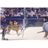 Image 1 : Gladiator Russell Crowe Signed Photo