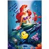 Image 1 : Little Mermaid Jodi Benson Signed Photo