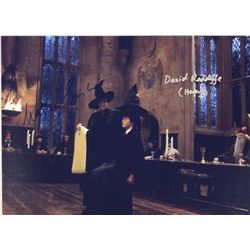 Harry Potter Signed Photo