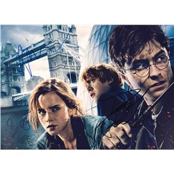 Harry Potter Signed Photo