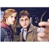 Image 1 : Harry Potter Signed Photo