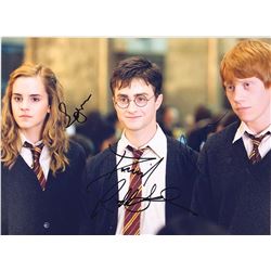 Harry Potter Signed Photo