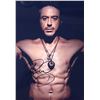 Image 1 : Robert Downey Jr Signed Photo
