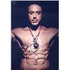 Image 1 : Robert Downey Jr Signed Photo