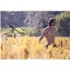 Image 1 : Chris Hemsworth Signed Photo