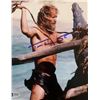 Image 1 : Tom Hanks Autographed Signed Photo
