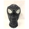 Image 1 : Spiderman Tom Holland Signd Mask