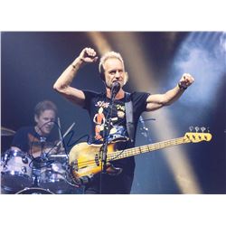 Sting Signed Photo