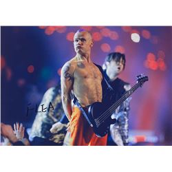 Red Hot Chili Peppers Signed Photo