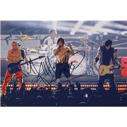 Red Hot Chili Peppers Signed Photo