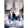 Image 1 : Signed Fantastic Beast Eddie Redmayne Photo