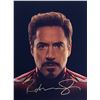 Image 1 : Avnegers Endgame Robert Downey Jr. SIGNED Autographed Photo