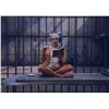 Image 1 : Margot Robbie Signed Autograph Harley Quinn Photo