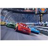 Image 1 : Cars Lightning McQueen Paul Newton Signed Photo