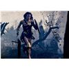 Image 1 : Wonder Woman 1984 Gal Gadot Photo Autographed Signed
