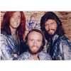 Image 1 : Bee Gees Gibb Signed Photo