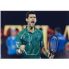 Image 1 : Tennis Signed Photo Novak Djokovic