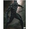 Image 1 : Chadwick Boseman Autograph Signed Photo
