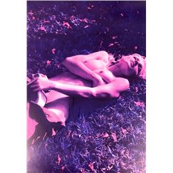 Autograph Signed Madonna Poster