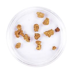 Lot of Gold Nuggets 3.70 grams Total Weight