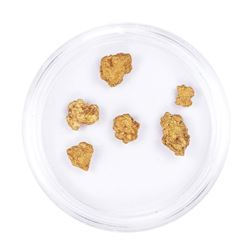 Lot of Gold Nuggets 2.50 grams Total Weight