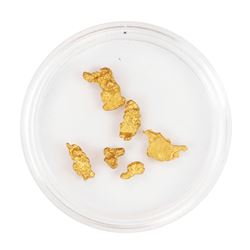 Lot of Gold Nuggets 3.00 Grams Total Weight