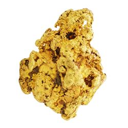 48.40 Gram Gold Nugget