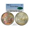 Image 1 : 1881-S $1 Morgan Silver Dollar Coin PCGS MS66+ CAC Amazing Toning
