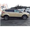 Image 4 : C6E --  2014 FORD ESCAPE SE , Brown , 129930  KM's