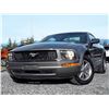 Image 9 : E1 --  2005 FORD MUSTANG , Grey , 187716  KM's