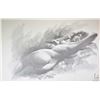 Image 2 : Gilt framed print of a nude woman by Pierre Richards