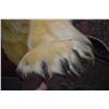 Image 2 : Vintage Eskimo tanned polar bear rug, note family tag indicated it was made into a rug by Hudson's B