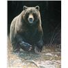 Image 2 : Framed limited edition untitled print of a grizzly bear 192/950 pencil signed by artist Des McCaffer