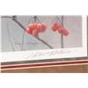 Image 3 : Framed limited edition print "Highbush Cranberries Cardinal" pencil signed by artist Robert Bateman 