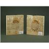 Image 2 : PAIR FRENCH MINIATURE PORTRAITS ON IVORY