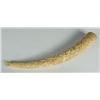 Image 1 : GERMAN IVORY TUSK CARVED HUNT SCENE C EARLY 20TH