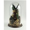 Image 1 : TOPIARY BUTTERFLIES PINE CONES DRIED FLOWERS