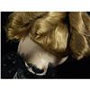 Image 2 : MADAME ALEXANDER JANE PIERCE DOLL IN BOX